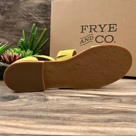 NIB Frye and Co. Evie 2 Band Flat Boho Sandal - Picture 10 of 13